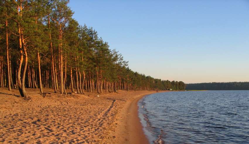 Загородный отдых в Ленинградской области 2015