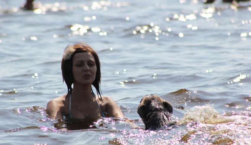 Отдых в Крыму с собакой 2015