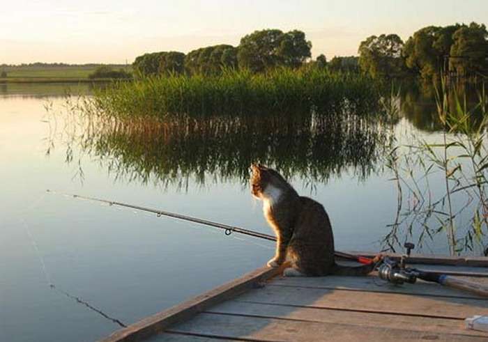 Рыбалка в Екатеринбурге: прогноз клева 2015