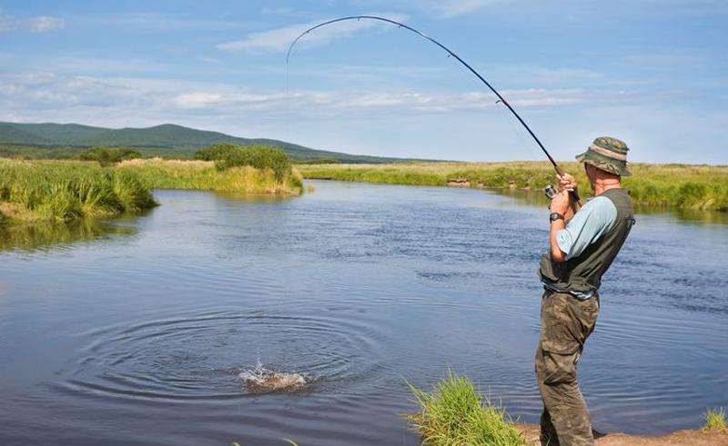 Бесплатная рыбалка в Подмосковье 2015
