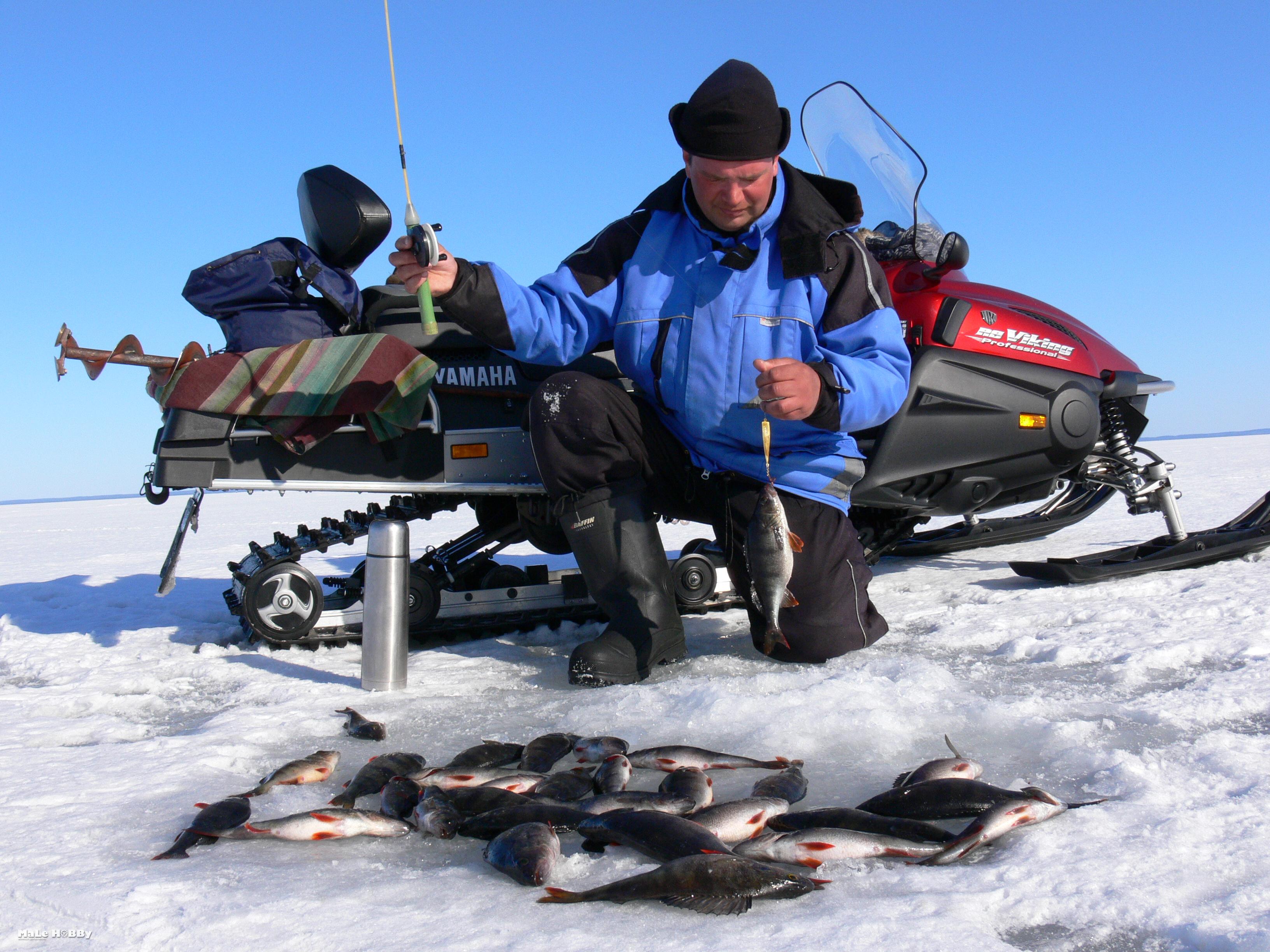  рыбалка в Тульской области 2018, Тульская рыбалка зимой