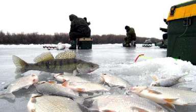Зимняя рыбалка на Финском заливе 2015-2016
