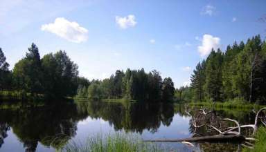 Рыбалка на озере Щучье Ленинградской области 2015