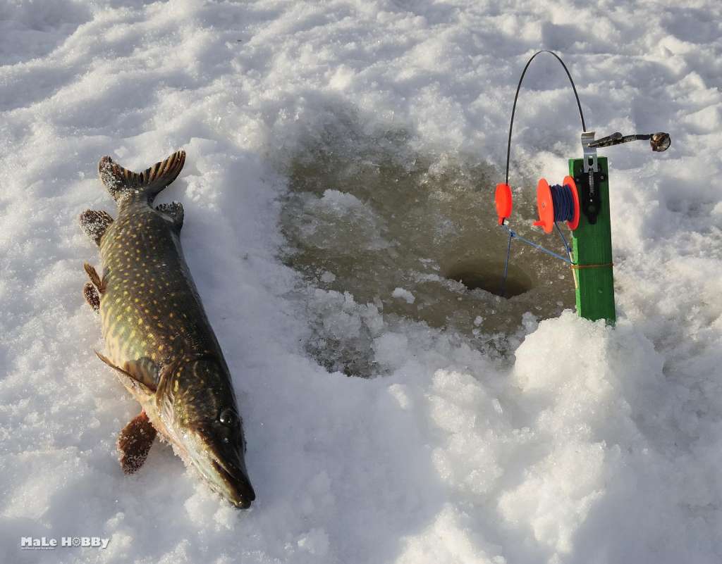 Ice pike fishing in Sweden