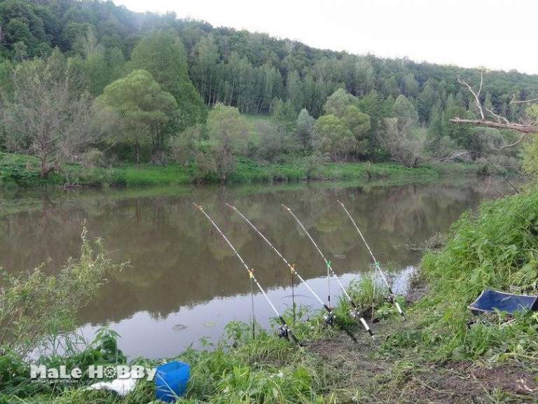 Река глутня рыбалка Река глутня рыбалка