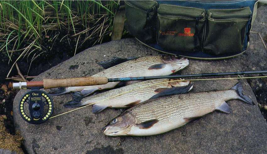 Рыбалка на реке Ёлнать в 2016 году