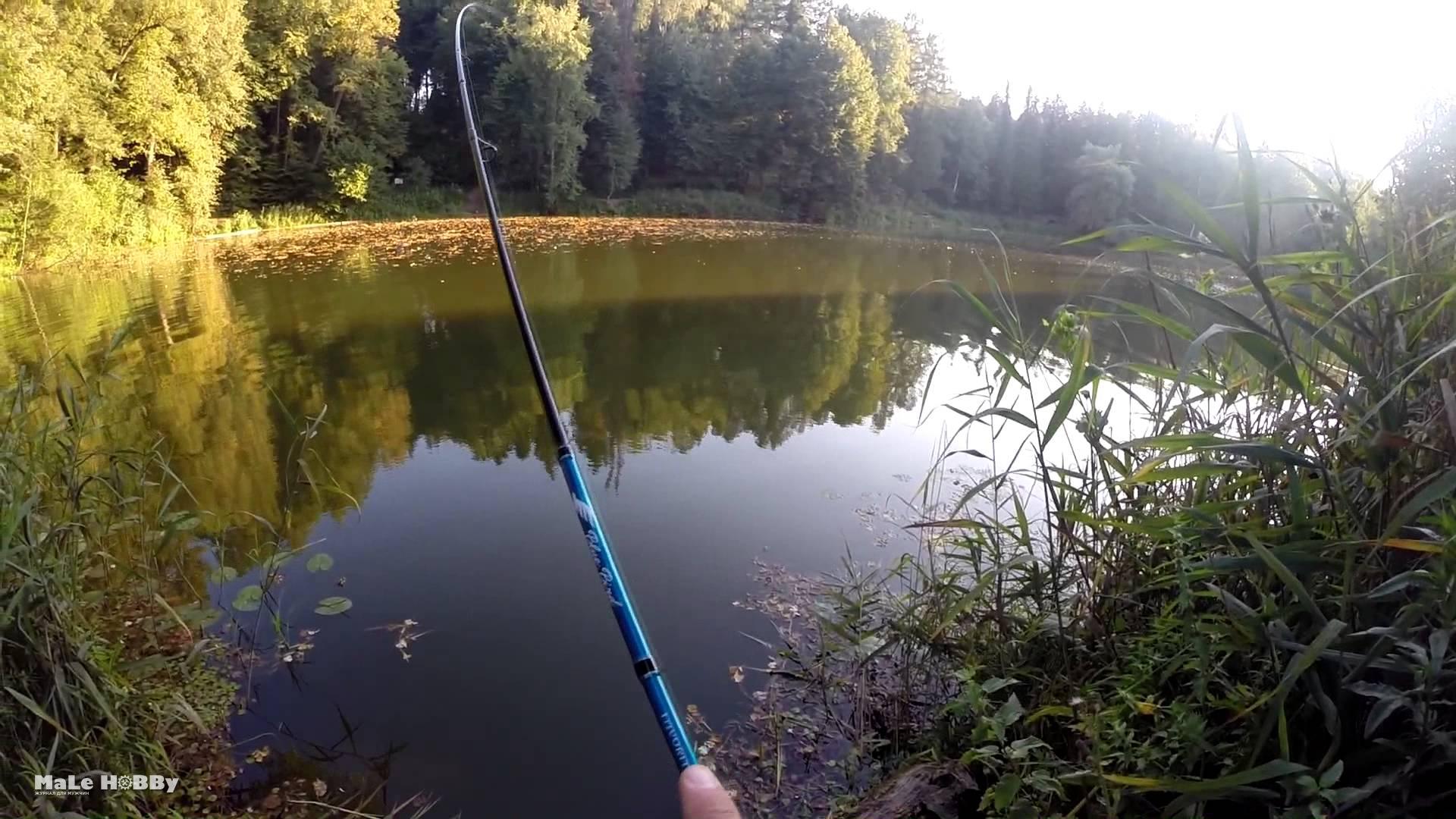 Озеро московское рыбалка. Природа рыбалка. Удочка на берегу озера. Река удочка. Озеро с удочкой.