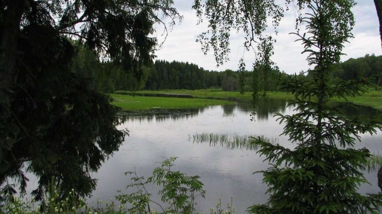 Дер Пятница Истринское Водохранилище Купить Земельный Участок