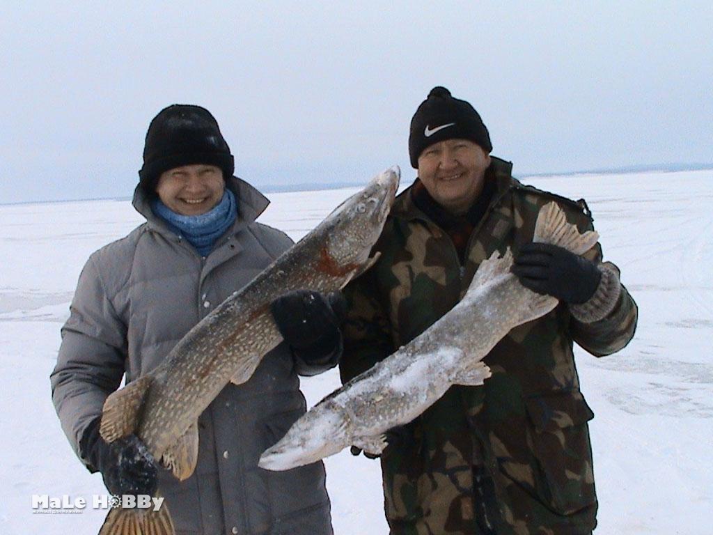 Рыбалка на арахлее