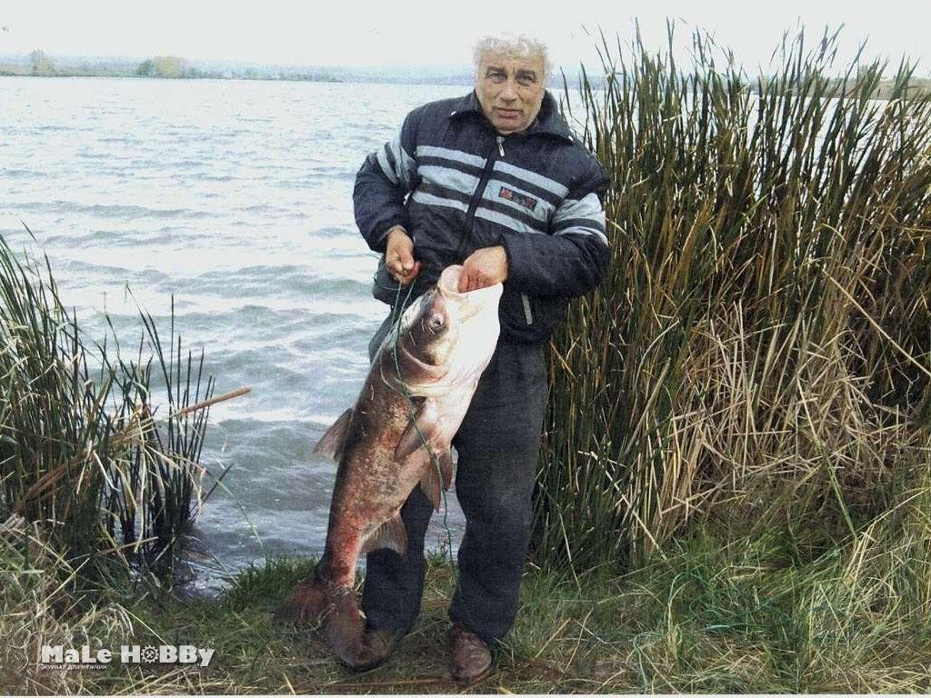 О попович не взяли на рыбалку сочинение по картине 5