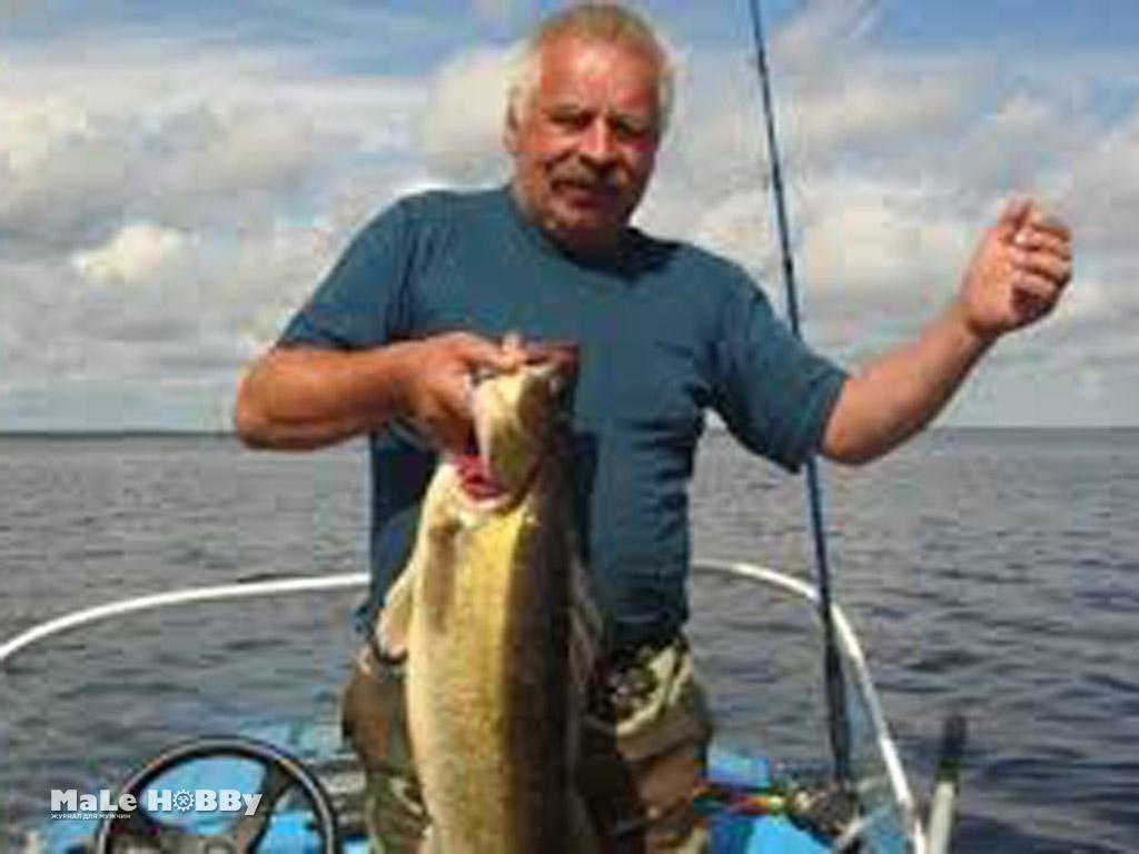 Рыбалка в Весьегонске Тверской области, места, базы, прогноз клева