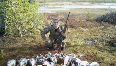 Охота на гуся в Архангельске и Архангельской области 2017