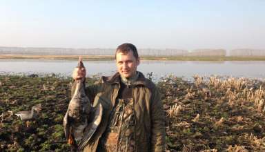 Охота на гуся в Тамбове и Тамбовской области 2017