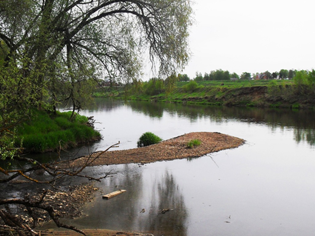 Река осетр рыбалка. Река осётр Тульская. Река осётр Тульская область. Река Тулица.